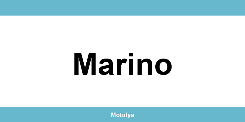 Contatti e login SUAP a Marino