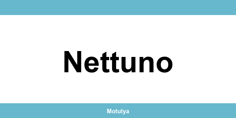 Contatti e login SUAP a Nettuno
