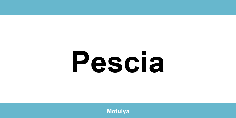 Contatti e login SUAP a Pescia