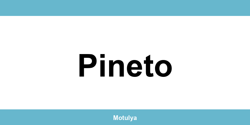 Contatti e login SUAP a Pineto