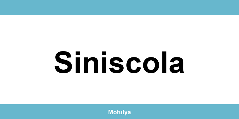 Contatti e login SUAP a Siniscola