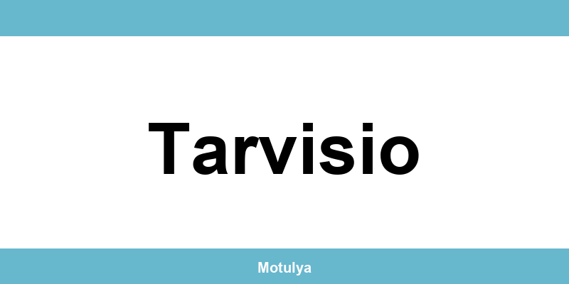 Contatti e login SUAP a Tarvisio