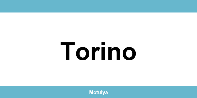 Contatti e login SUAP a Torino