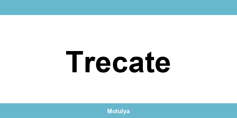 Contatti e login SUAP a Trecate