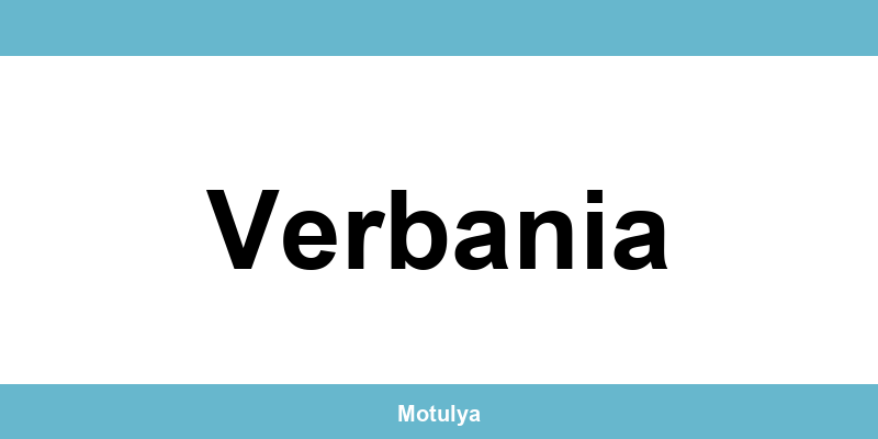 Contatti e login SUAP a Verbania