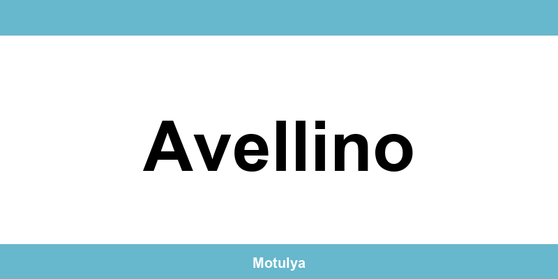 Contatti e login SUAP a Avellino
