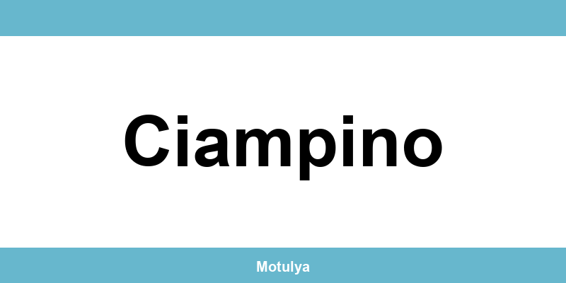 Contatti e login SUAP a Ciampino