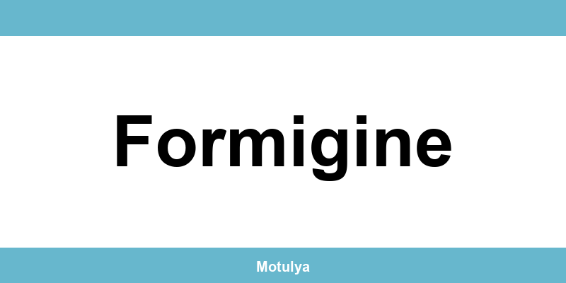 Contatti e login SUAP a Formigine