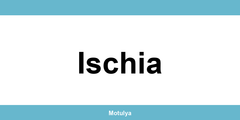 Contatti e login SUAP a Ischia