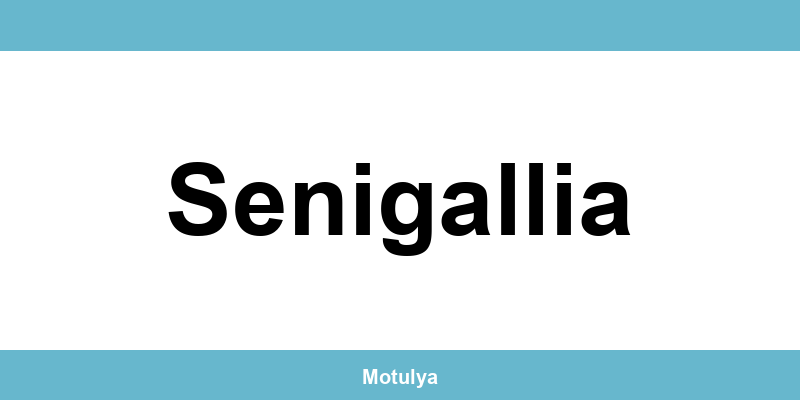 Contatti e login SUAP a Senigallia