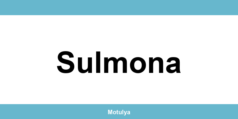Contatti e login SUAP a Sulmona