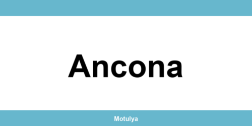 Contatti e login SUAP a Ancona
