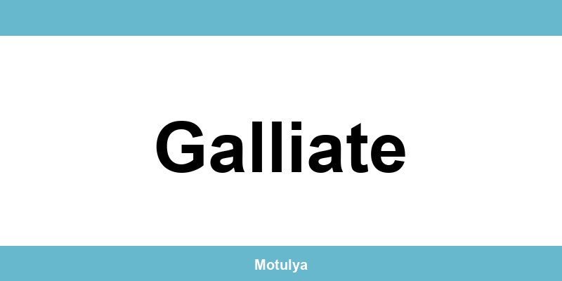 Contatti e login SUAP a Galliate