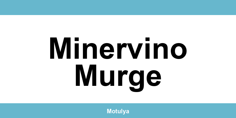 Contatti e login SUAP a Minervino Murge