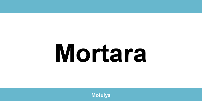 Contatti e login SUAP a Mortara