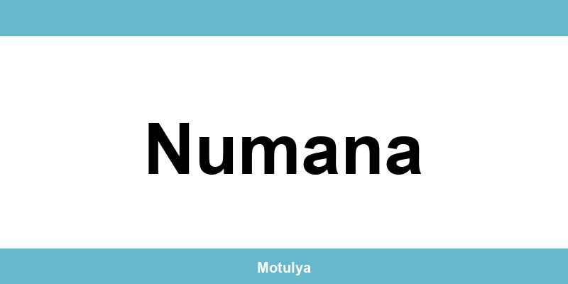 Contatti e login SUAP a Numana