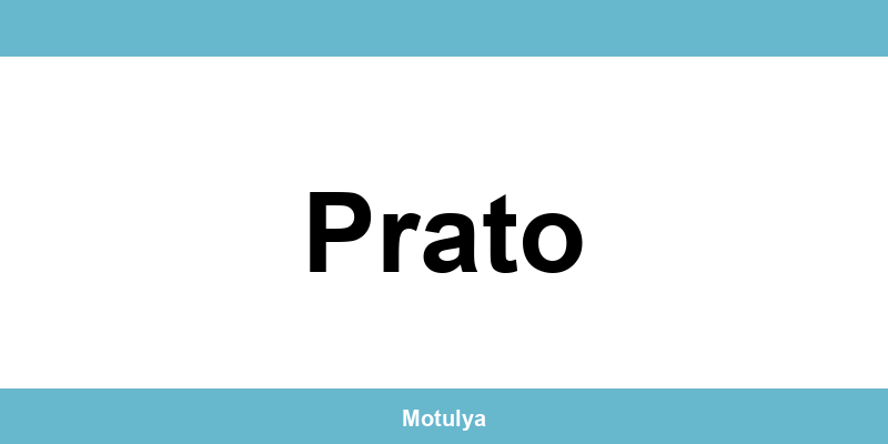 Contatti e login SUAP a Prato