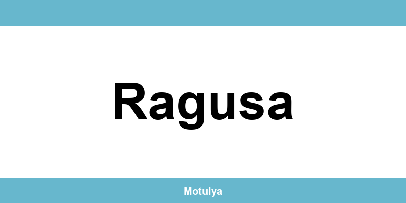 Contatti e login SUAP a Ragusa