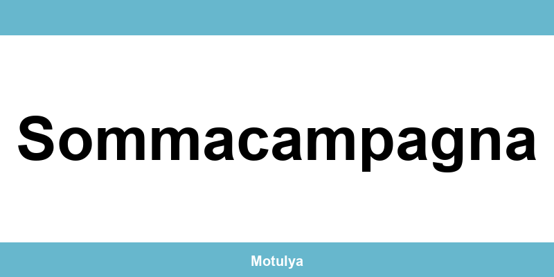 Contatti e login SUAP a Sommacampagna